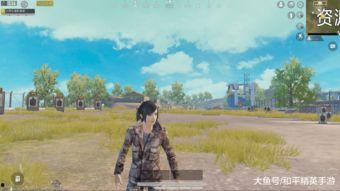 6月新军需和平精英最新爆料  第1张