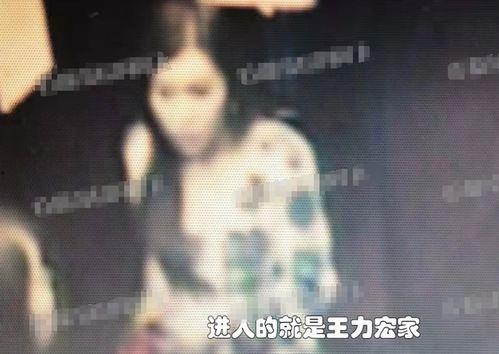 伟哥哥前妻爆料视频,揭秘婚姻内幕与情感纠葛